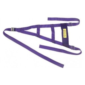 Dragonslayer DRA16013 - Sprint Car Net Purple