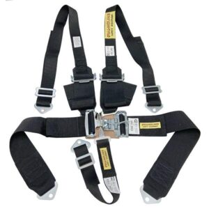 Dragonslayer Race Car Seat Belts